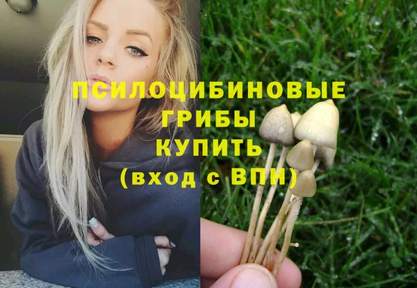 а пвп мука Елабуга