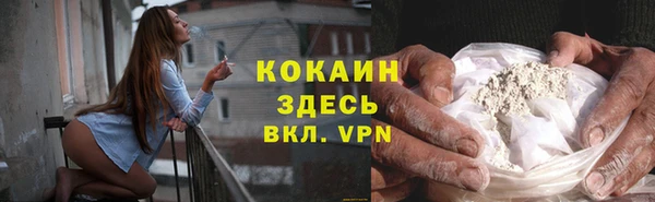 дмт Ельня