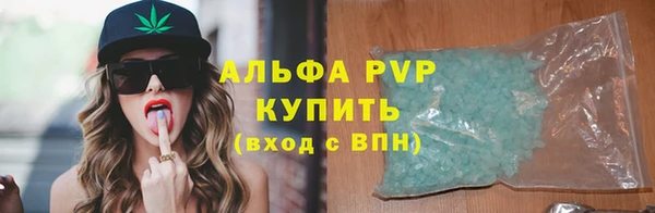 дмт Ельня