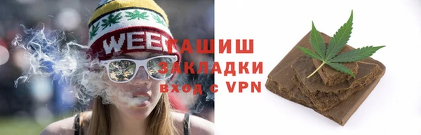 дмт Ельня