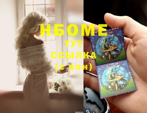 дмт Ельня