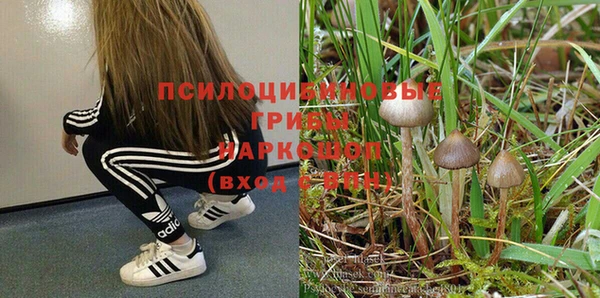 марихуана Елизово