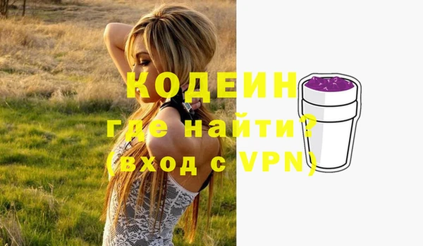 дмт Ельня