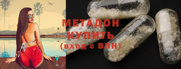 дмт Ельня