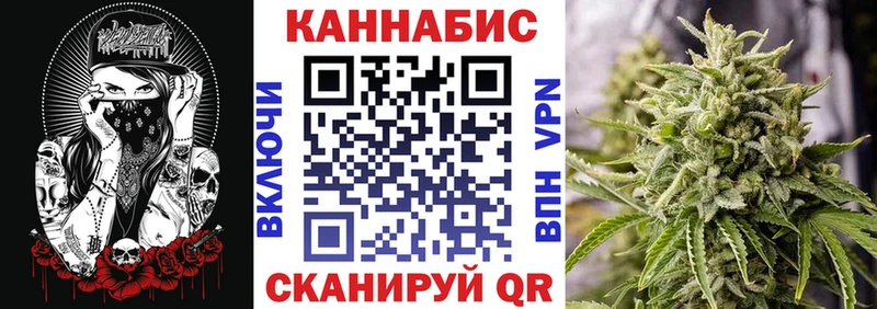 Шишки марихуана планчик  купить наркотики сайты  Западная Двина 